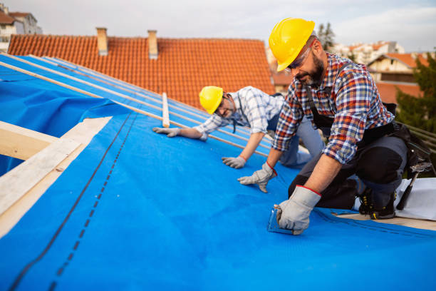 Roof Insulation in Bremen, GA